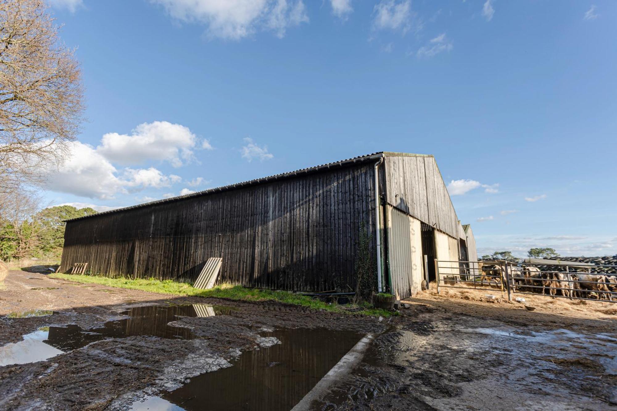 Вілла A La Ferme Du Cosquer Баден Екстер'єр фото