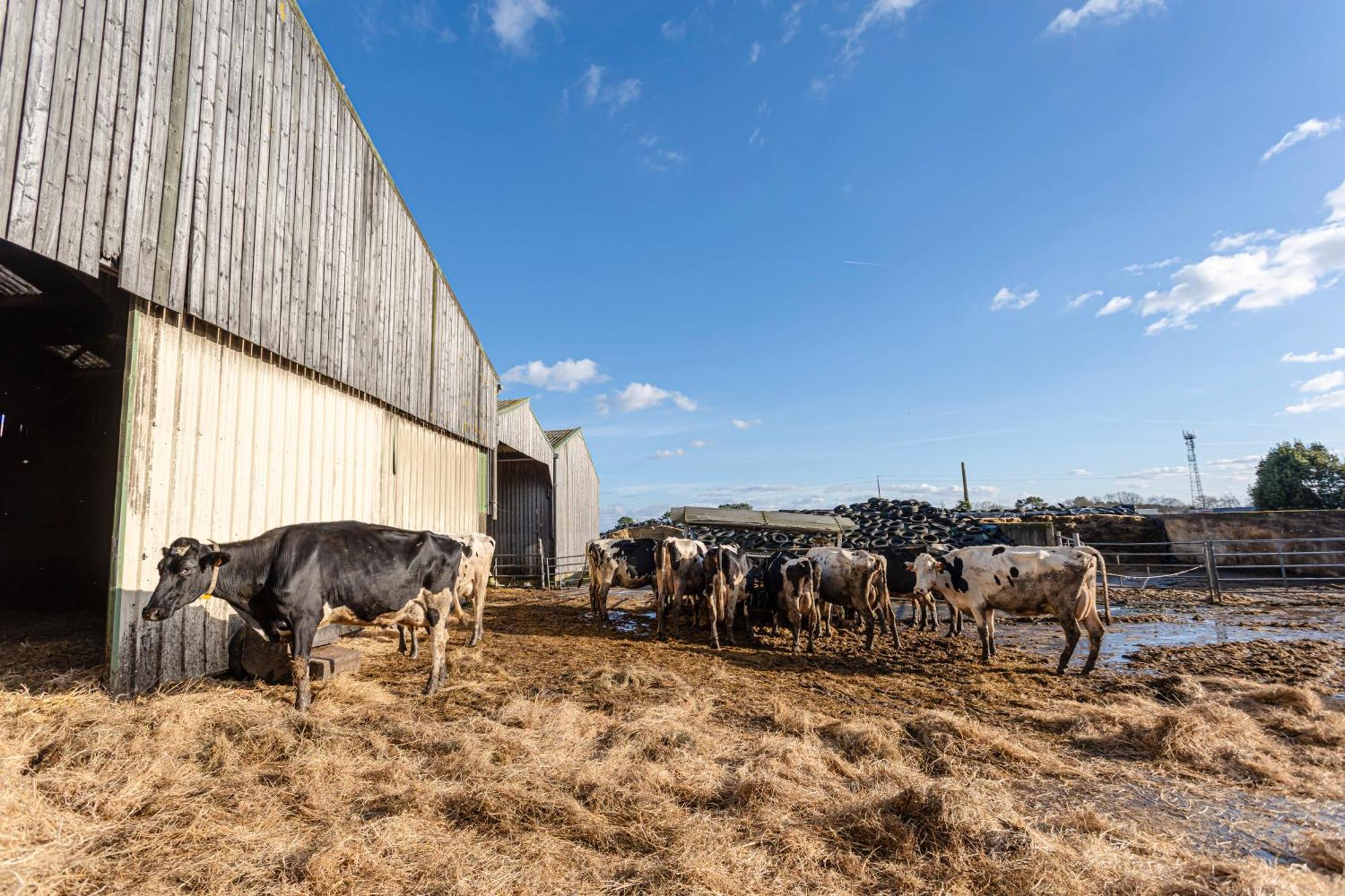 Вілла A La Ferme Du Cosquer Баден Екстер'єр фото